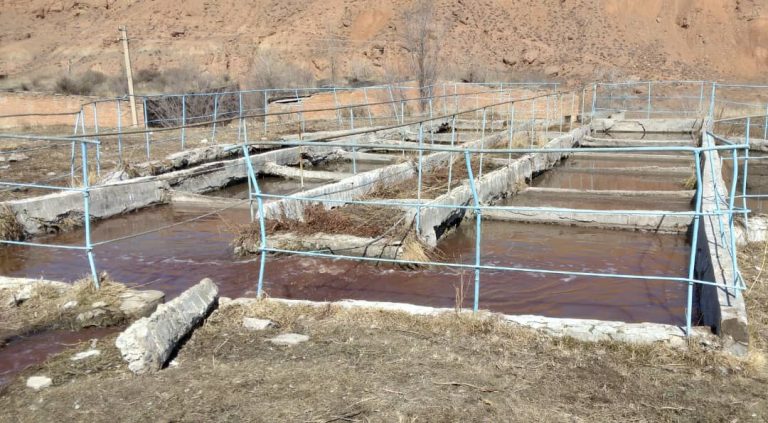 Сурамжылоо: Нарында саркынды сууну тазалоочу жайга жакын жашаган тургундардын ден соолугу начар