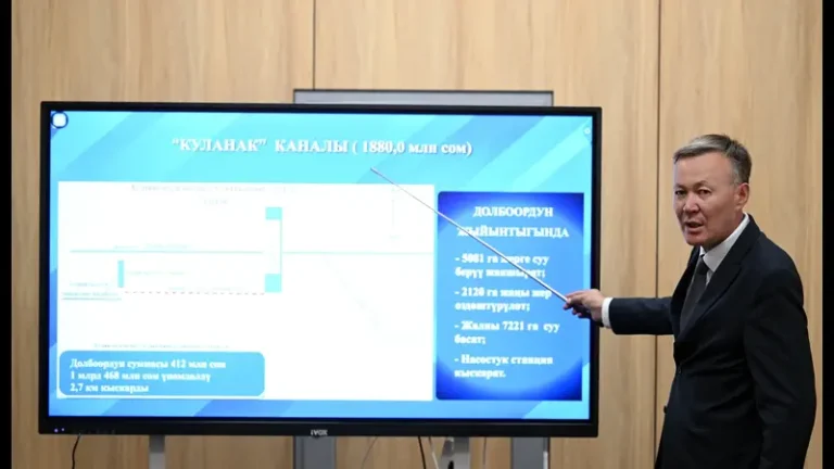 Садыр Жапаров Нарын облусун өнүктүрүү пландары менен таанышты