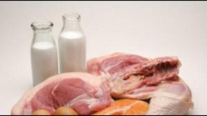 Нарын районунда эки ишкана ачылды